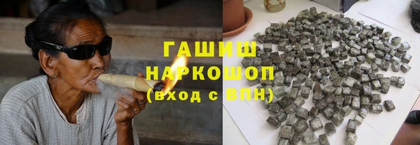 индика Абаза