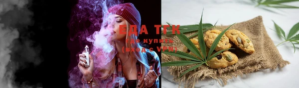 индика Абаза