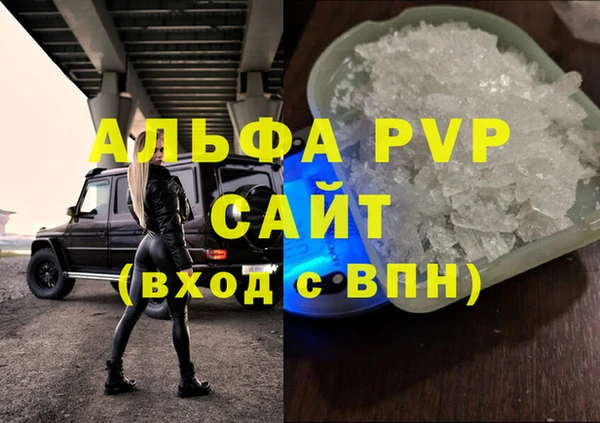 индика Абаза