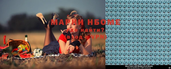 индика Абаза