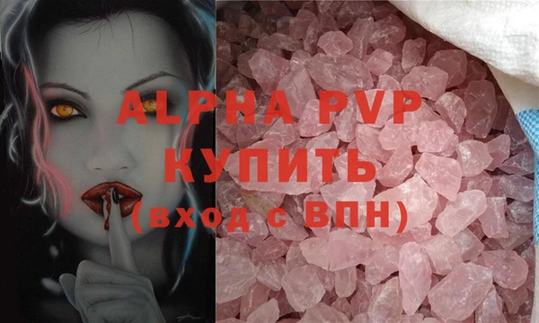 индика Абаза