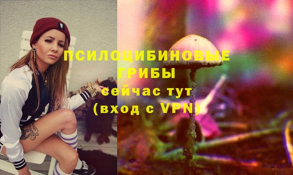 индика Абаза