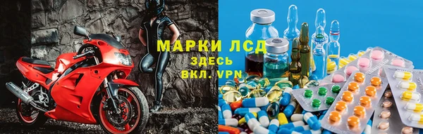 индика Абаза