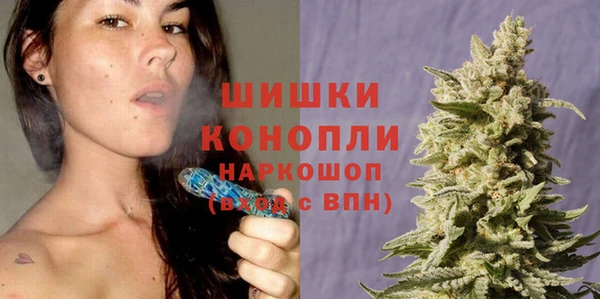 индика Абаза